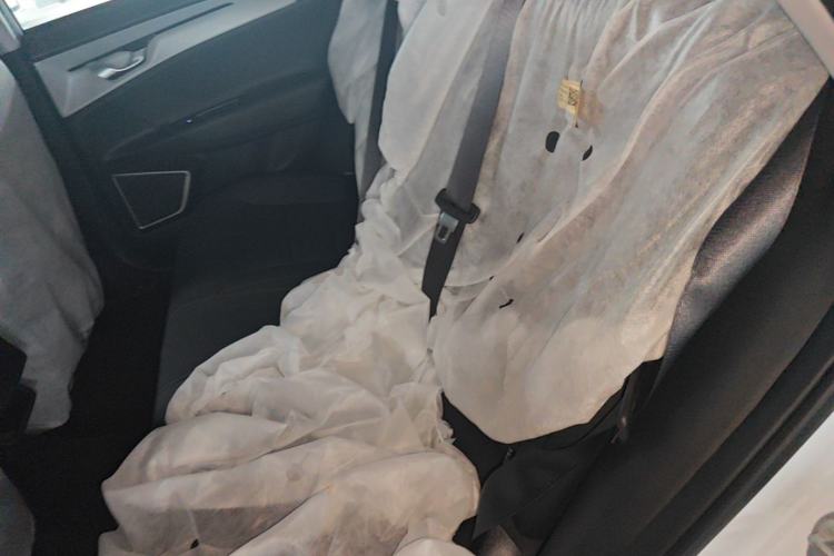 Used Geometry A 2024 500KM Travel Edition Left Rear Seat