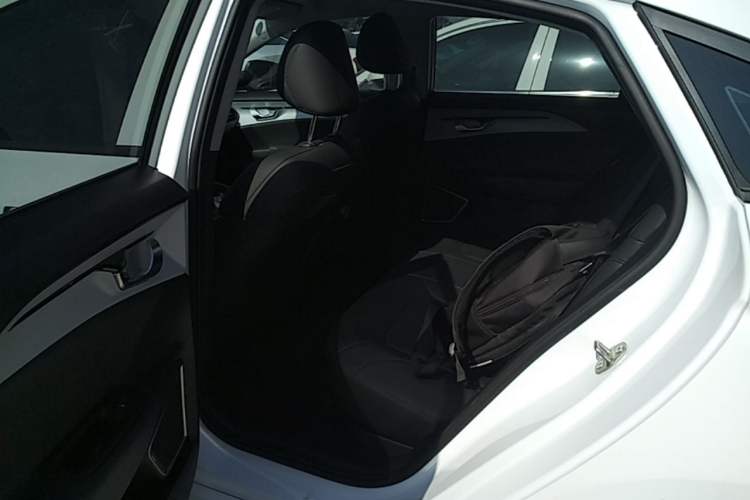 Used Geometry A 2024 500KM Travel Edition Left Rear Seat