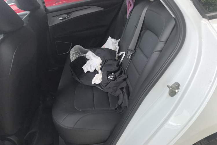 Used Geometry A 2024 410KM Travel Edition Left Rear Seat