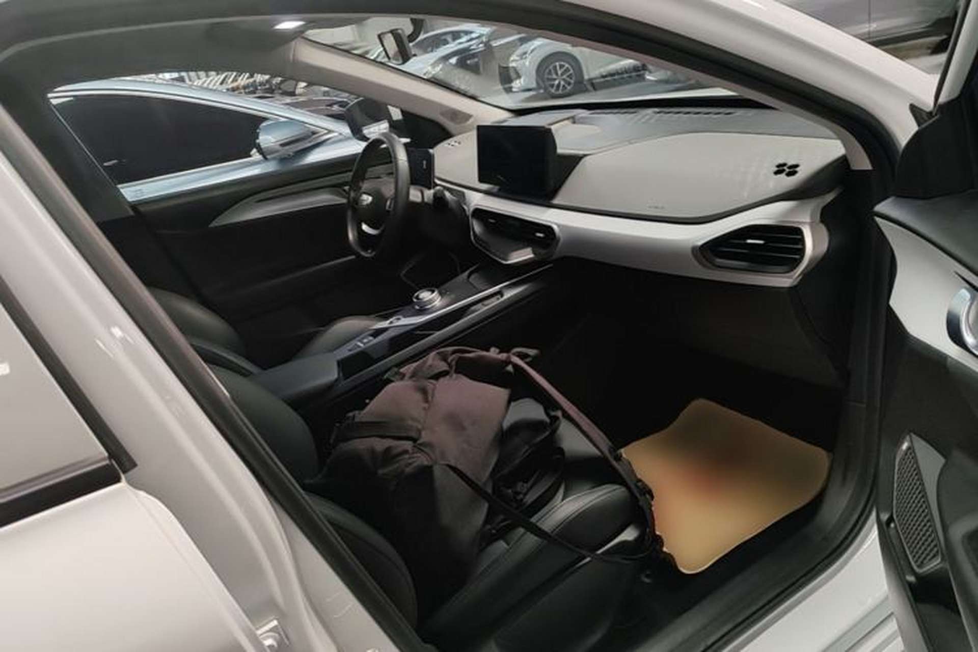 Used Geometry A 2024 500KM Travel Edition Right Front Seat