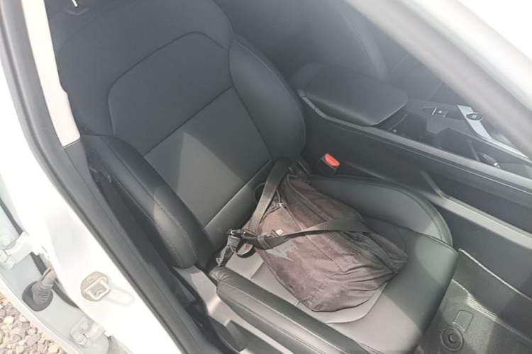 Used Geometry A 2024 500KM Travel Edition Right Front Seat