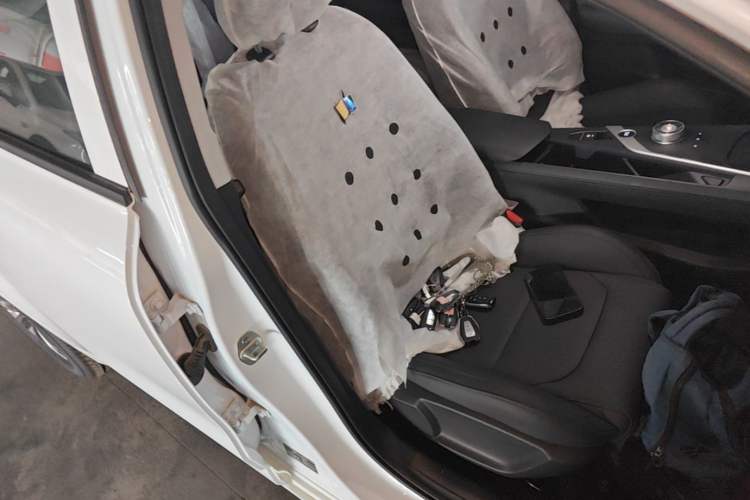 Used Geometry A 2024 500KM Travel Edition Right Front Seat