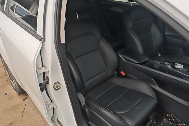 Used Geometry A 2024 410KM Travel Edition Right Front Seat
