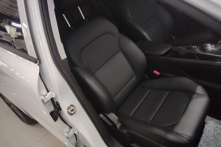 Used Geometry A 2024 410KM Travel Edition Right Front Seat