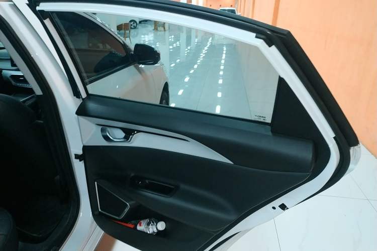 Used Geometry A 2024 410KM Travel Edition Right Rear Door Interior