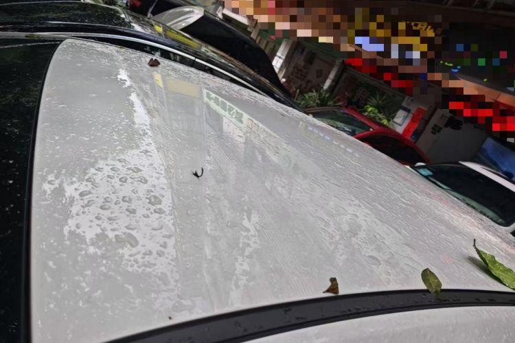 Used Geometry A 2024 410KM Travel Edition Roof