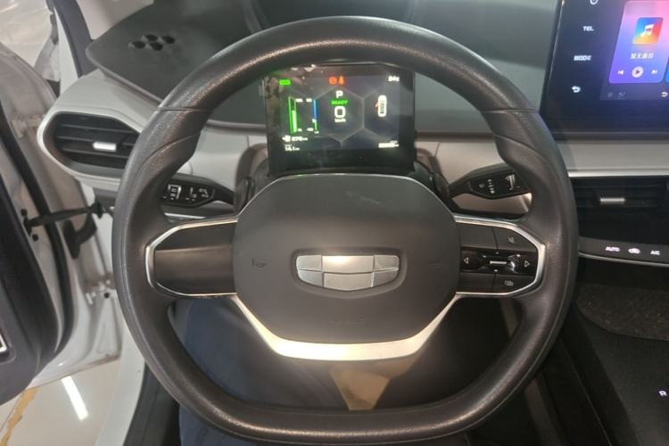 Used Geometry A 2024 410KM Travel Edition Steering Wheel