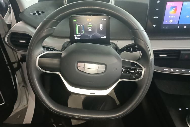 Used Geometry A 2024 410KM Travel Edition Steering Wheel