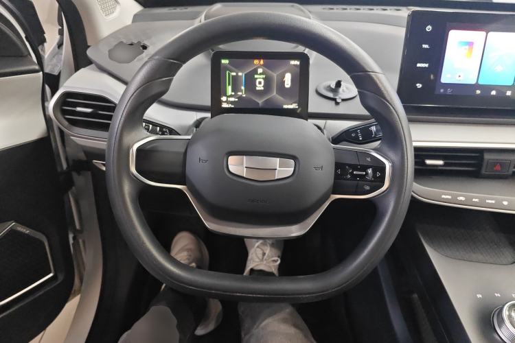 Used Geometry A 2024 410KM Travel Edition Steering Wheel