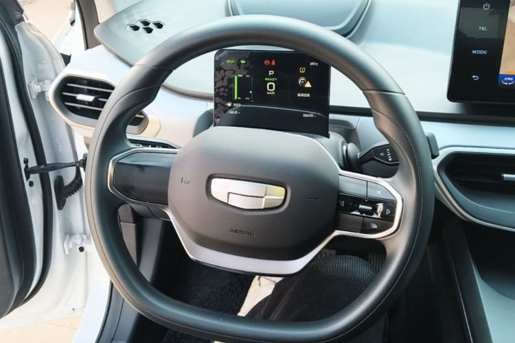 Used Geometry A 2024 410KM Travel Edition Steering Wheel