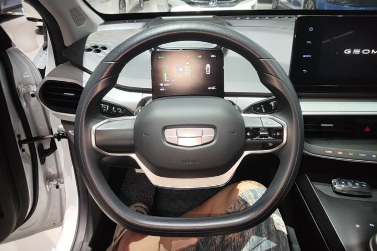 Used Geometry A 2024 410KM Travel Edition Steering Wheel