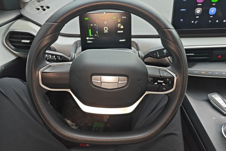 Used Geometry A 2024 410KM Travel Edition Steering Wheel