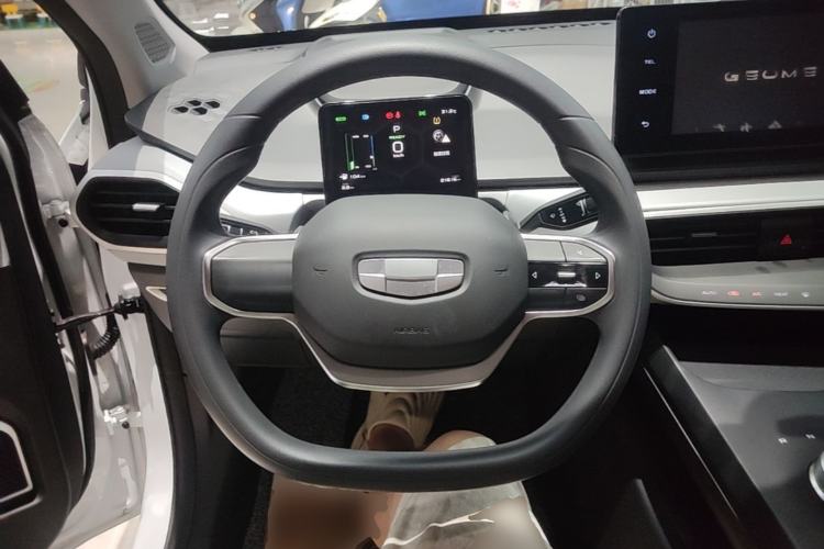 Used Geometry A 2024 410KM Travel Edition Steering Wheel