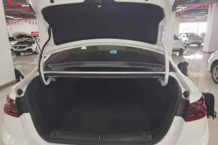 Used Geometry A 2024 410KM Travel Edition Trunk