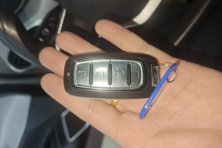 Used Geometry A 2024 410KM Travel Edition Vehicle Key