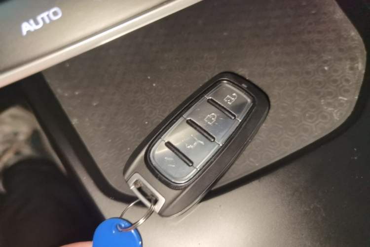 Used Geometry A 2024 410KM Travel Edition Vehicle Key
