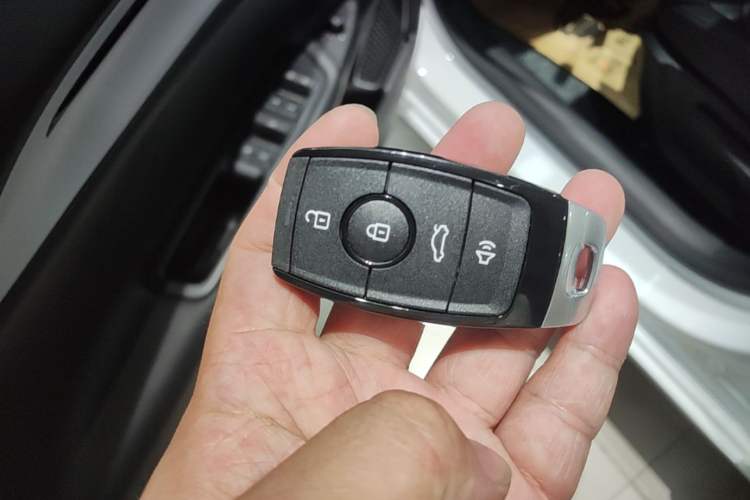 Used Geometry A 2024 410KM Travel Edition Vehicle Key