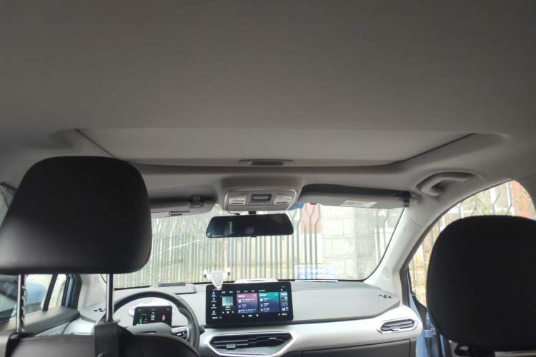 Used Geometry C 2020 Premium Range Version 400 KM C Headliner