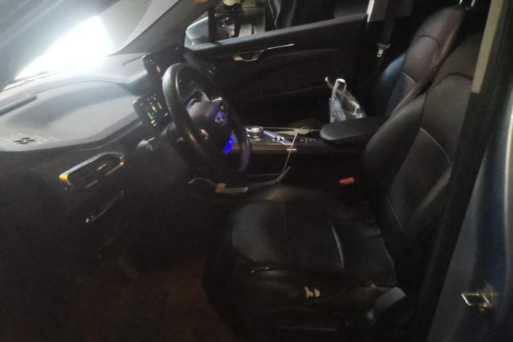 Used Geometry C 2020 Premium Range Version 400 KM C+ Left Front Seat