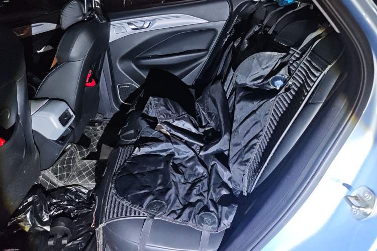 Used Geometry C 2020 Selected Range Edition 550 KM C++ Left Rear Seat