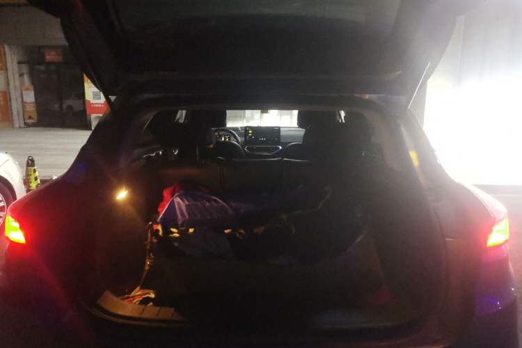 Used Geometry C 2020 Premium Range Version 400 KM C+ Trunk