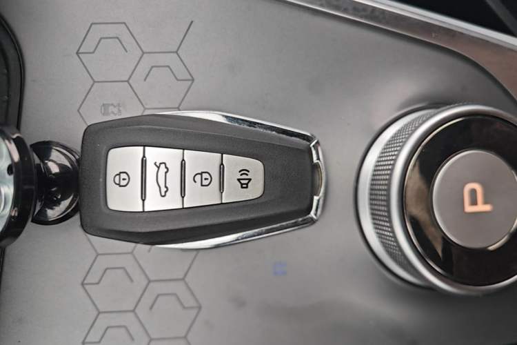 Used Geometry C 2020 Selected Range Edition 550 KM C++ Vehicle Key
