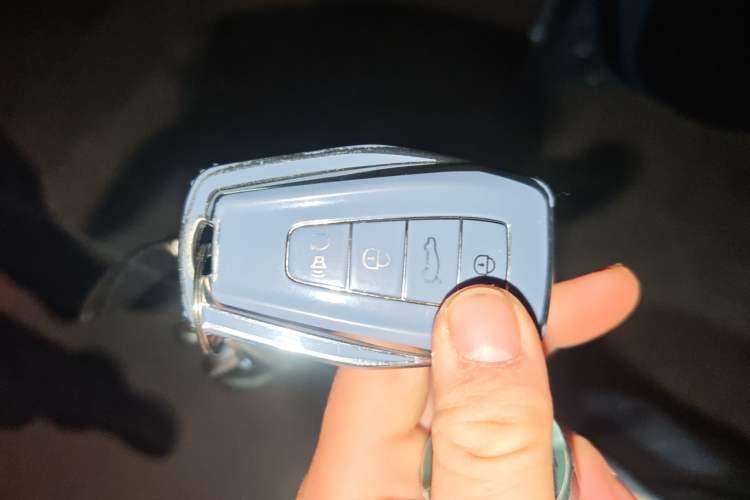 Used Geometry C 2020 Selected Range Edition 550 KM C++ Vehicle Key