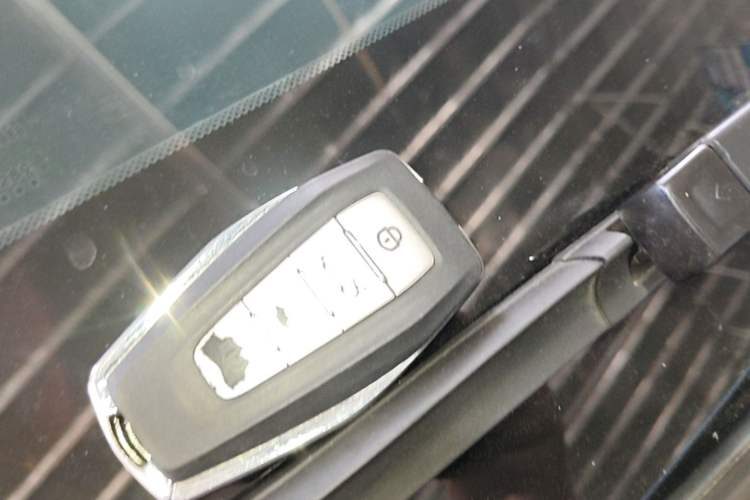 Used Geometry C 2020 Selected Range Edition 550 KM C++ Vehicle Key