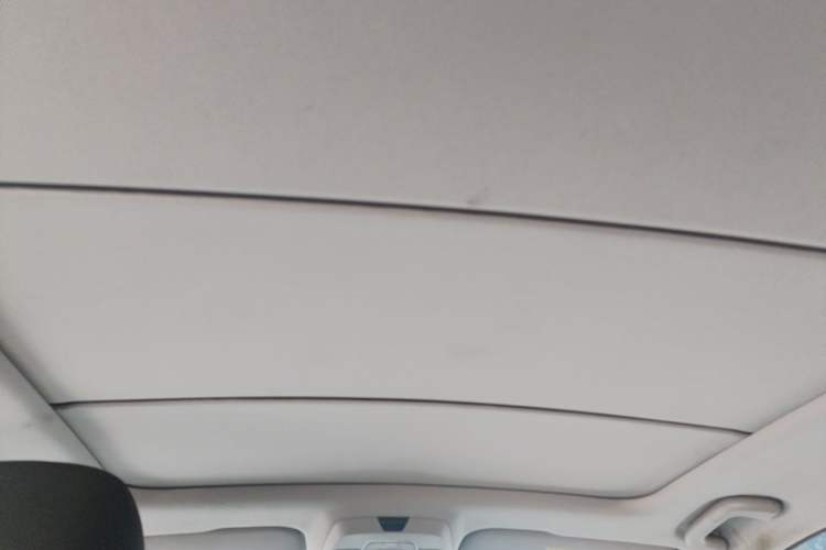 Used Geometry C 2020 Selected Range Edition 550 KM C++ Pro Headliner