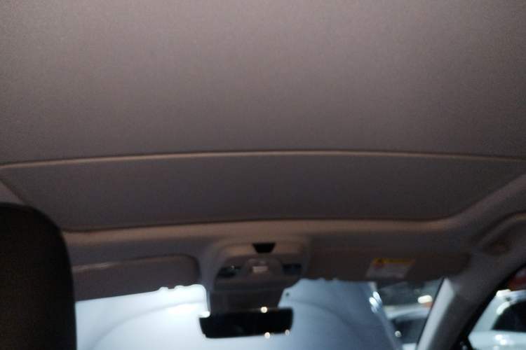 Used Geometry C 2020 Selected Range Edition 550 KM C++ Pro Headliner