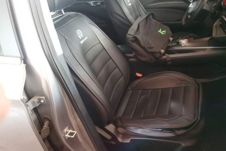 Used Geometry C 2020 Premium Range Version 400 KM C+ Right Front Seat