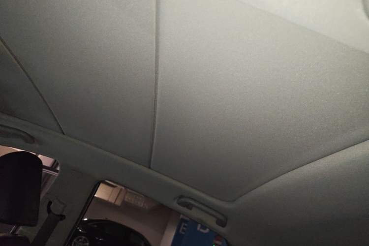 Used Geometry C 2020 Selected Range Edition 550 KM C++ Headliner