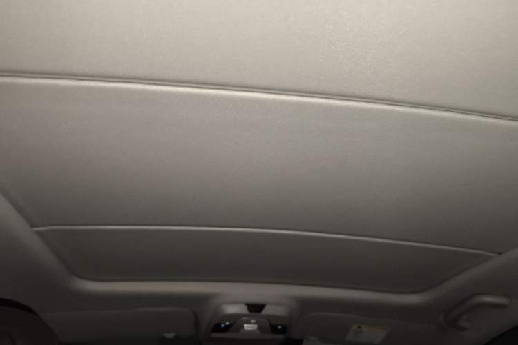 Used Geometry C 2020 Selected Range Edition 550 KM C++ Pro Headliner