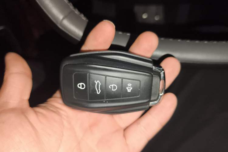 Used Geometry C 2020 Selected Range Edition 550 KM C++ Pro Vehicle Key