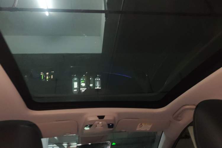 Used Geometry C 2020 Selected Range Edition 550 KM C++ Pro Headliner