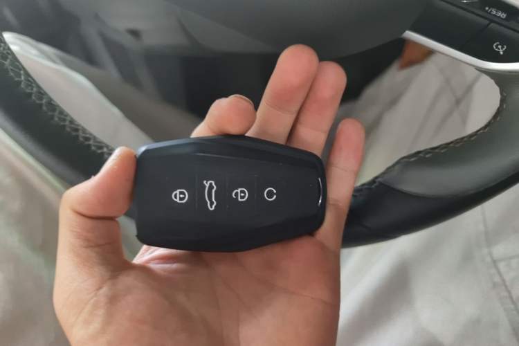 Used Geometry C 2020 Selected Range Edition 550 KM C++ Vehicle Key