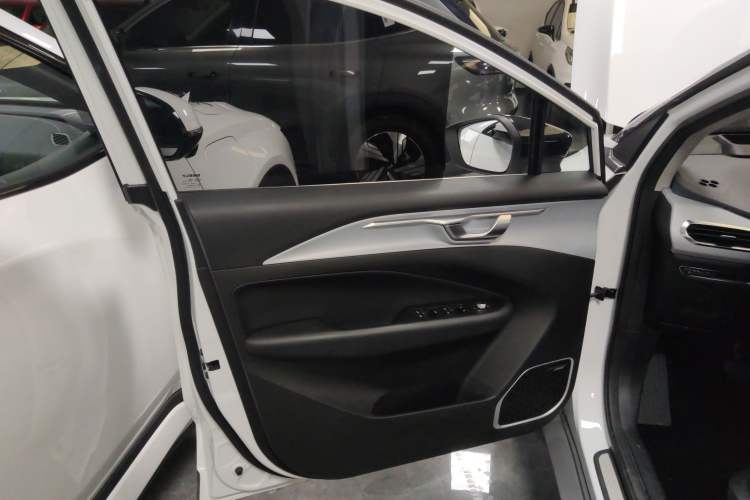 Used Geometry C 2020 Selected Range Edition 550 KM C++ Pro Left Front Door Interior