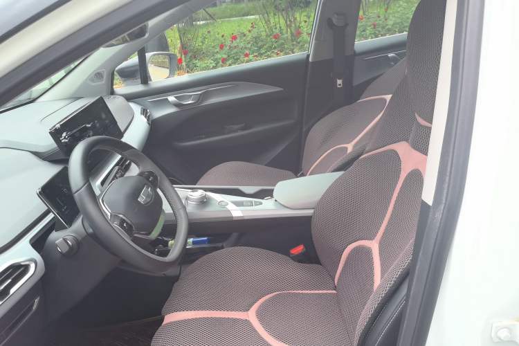 Used Geometry C 2020 Selected Range Edition 550 KM C++ Pro Left Front Seat