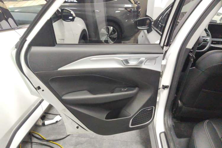 Used Geometry C 2020 Selected Range Edition 550 KM C++ Pro Left Rear Door Interior