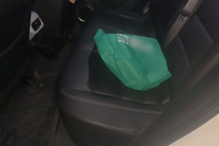 Used Geometry C 2020 Premium Range Edition 400 KM C+ Pro Left Rear Seat