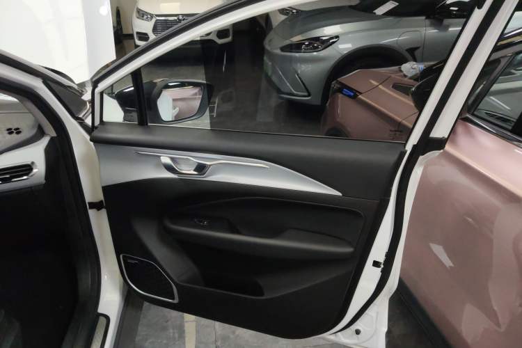 Used Geometry C 2020 Selected Range Edition 550 KM C++ Pro Right Front Door Interior