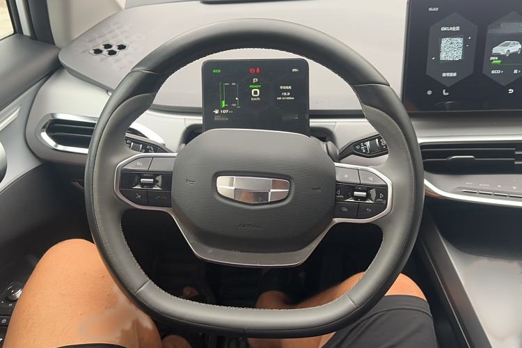 Used Geometry C 2020 Premium Range Edition 400 KM C+ Pro Steering Wheel