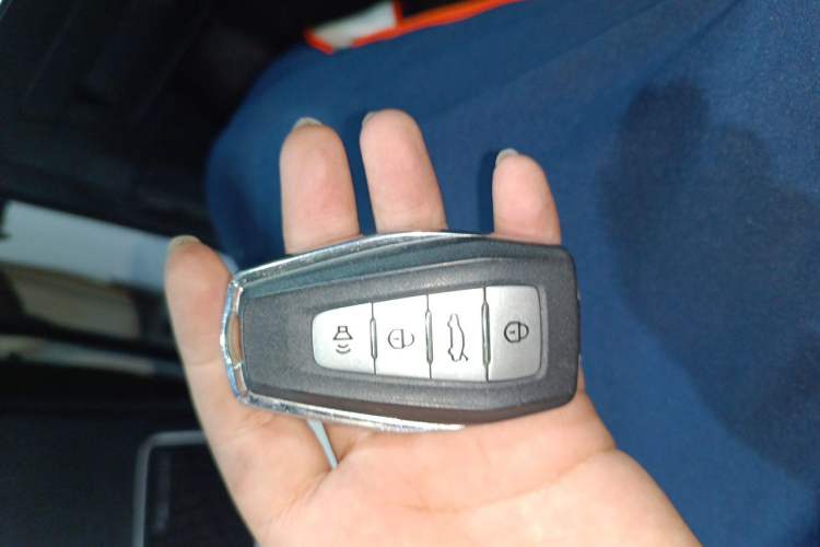 Used Geometry C 2020 Premium Range Version 400 KM C+ Vehicle Key