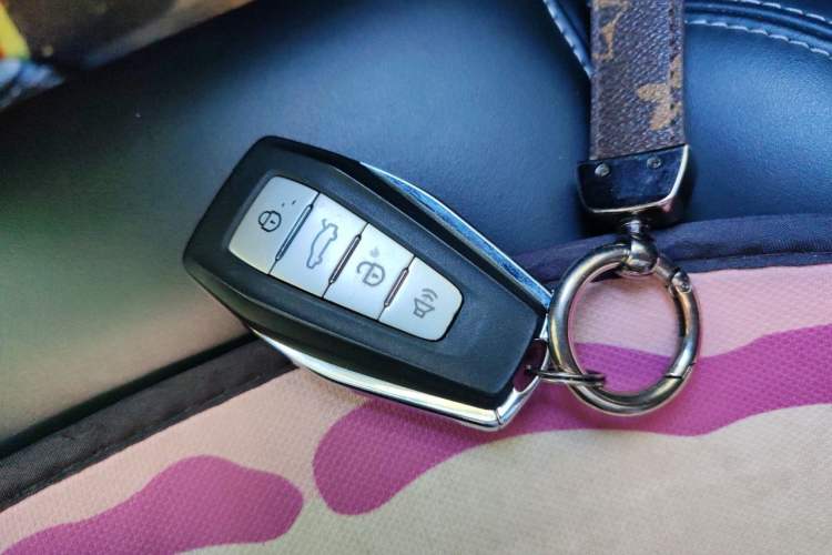 Used Geometry C 2020 Selected Range Edition 550 KM C++ Vehicle Key