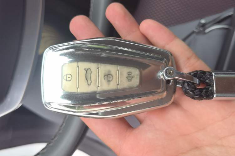 Used Geometry C 2020 Selected Range Edition 550 KM C++ Pro Vehicle Key