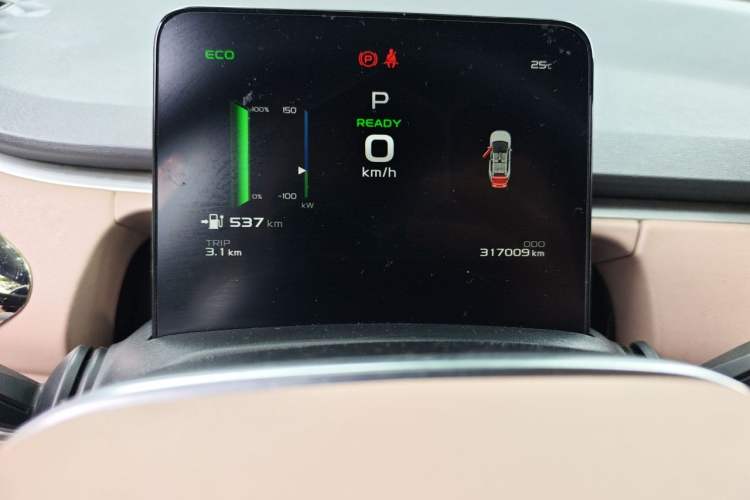 Used Geometry C 2021 C550 Power Edition Odometer Close Up