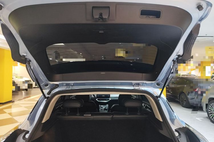 Used Geometry C 2022 Blueberry C400 Trunk