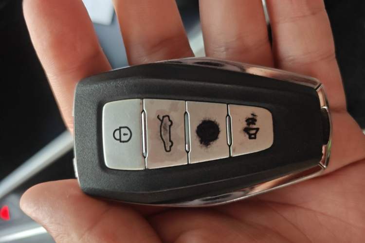 Used Geometry C 2022 550KM Grapefruit Halo Vehicle Key