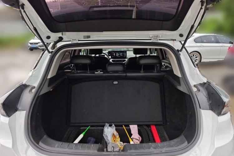 Used Geometry C 2022 Grape C550 Trunk
