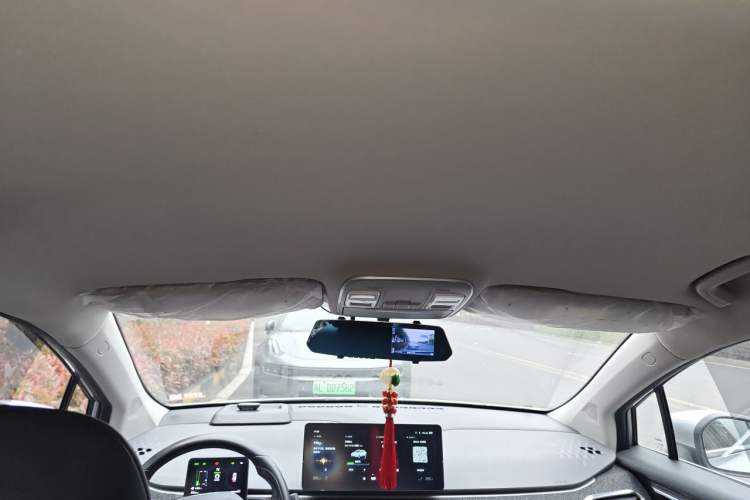 Used Geometry C 2022 400KM Blueberry Pro Headliner